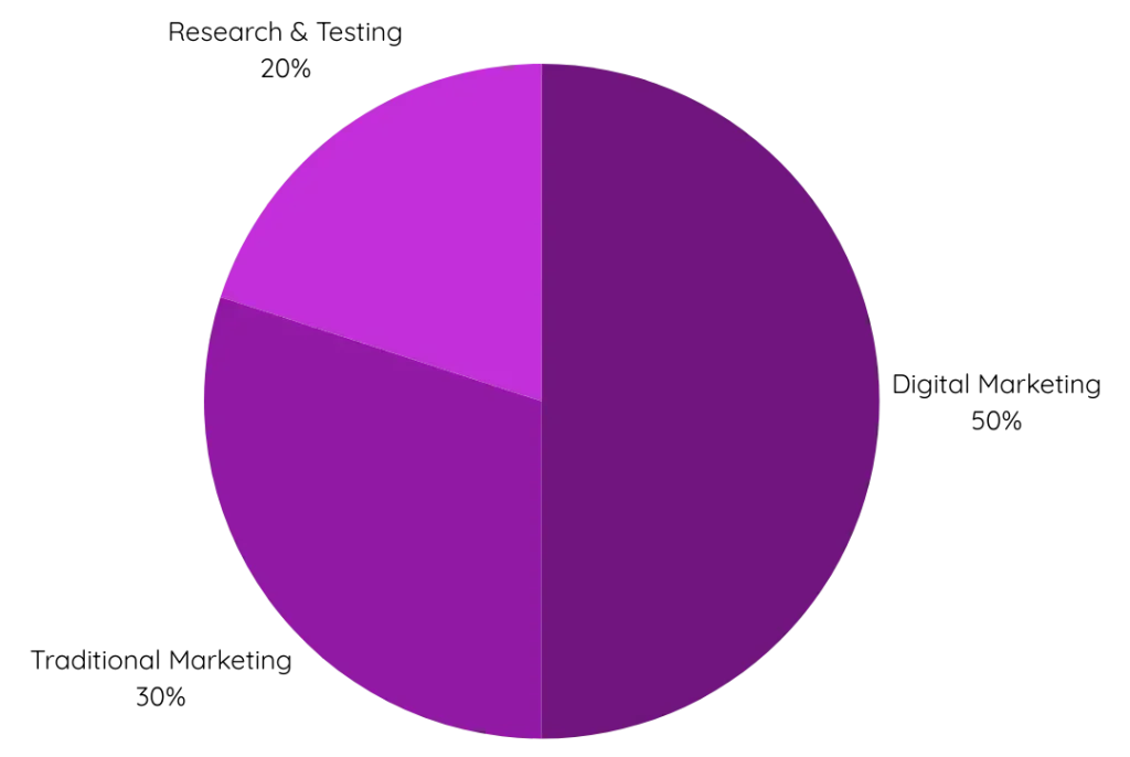 Graphic to show marketing budget allocation
